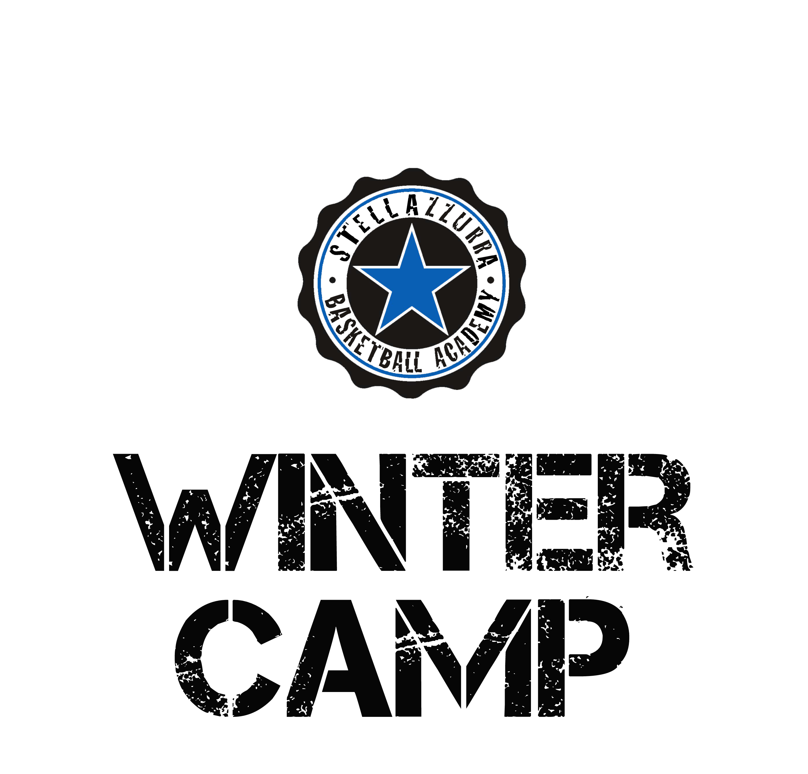 Logo Winter Camp nero